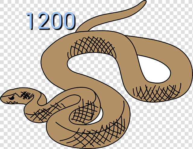 Rattlesnake Clipart Australian Snake   Snake Clipart  HD Png DownloadTransparent PNG