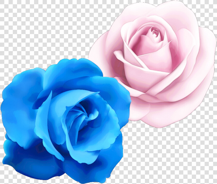  rose  flower  cute  colorful  handpainted  watercolor   Rose Blue  HD Png DownloadTransparent PNG