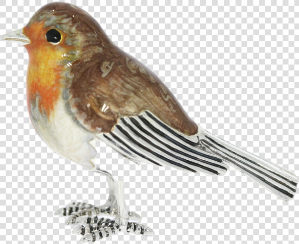 European Robin  HD Png DownloadTransparent PNG