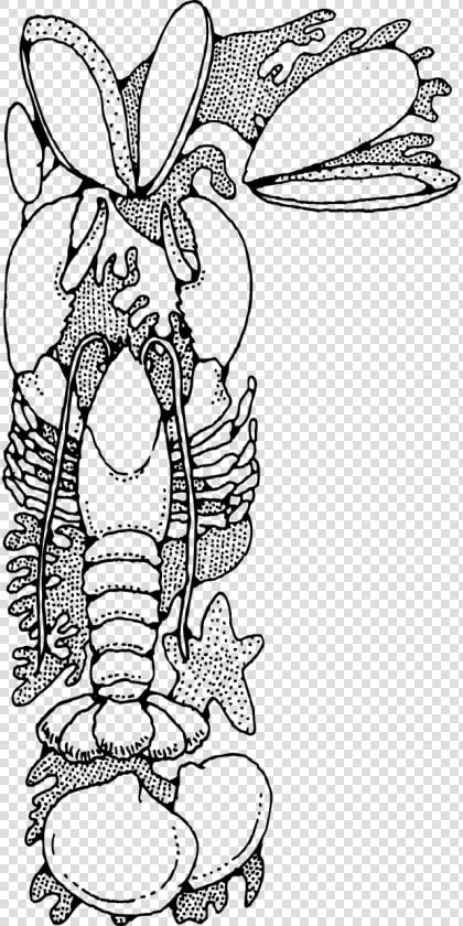 Seafood Clip Art  HD Png DownloadTransparent PNG