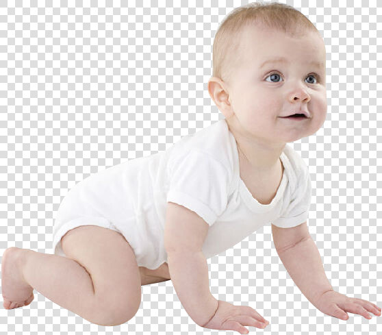 Infant Child Crawling   Baby Crawling Transparent Background  HD Png DownloadTransparent PNG