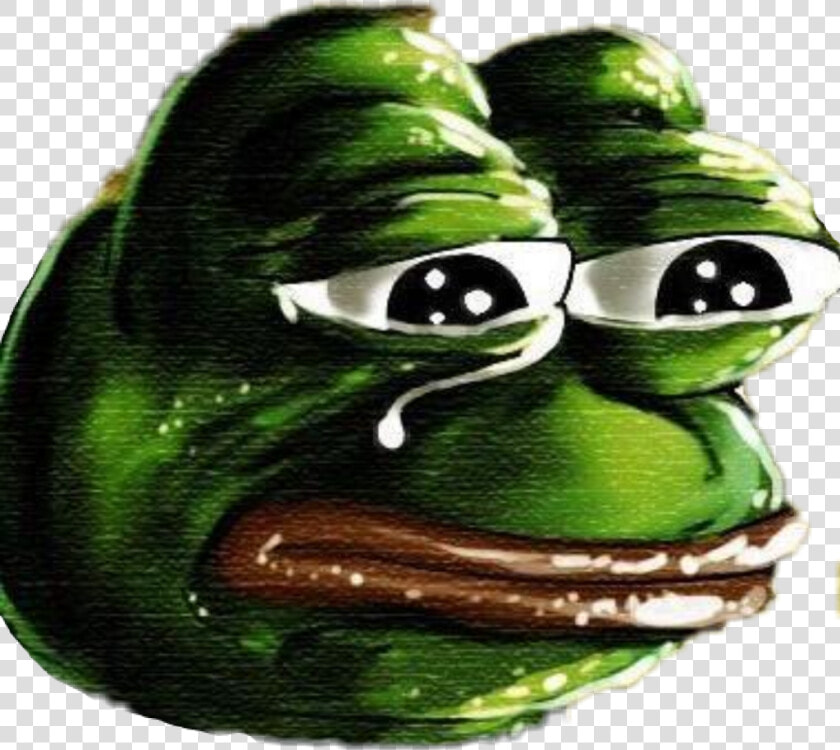 Pepe Pepefrog Green Frog Tears Waifu Tearsarefalling   Pepe The Frog High Quality  HD Png DownloadTransparent PNG