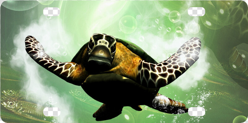 Hawksbill Sea Turtle   Png Download   Sea Turtle  Transparent PngTransparent PNG