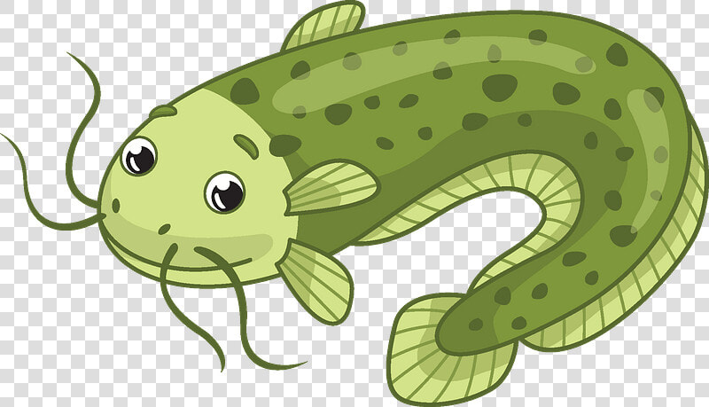 Catfish Clipart   College Of Teacher Education  HD Png DownloadTransparent PNG