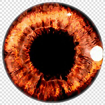  eyes  olhos  castanho  people  freetoedit   Picsart Editing Light Background  HD Png DownloadTransparent PNG