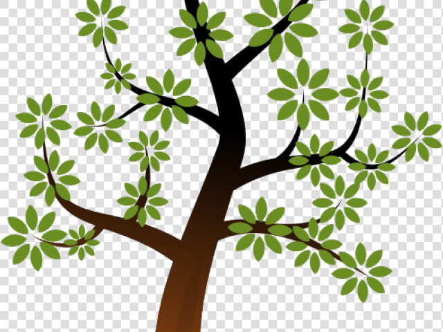 Public Domain Tree  HD Png DownloadTransparent PNG