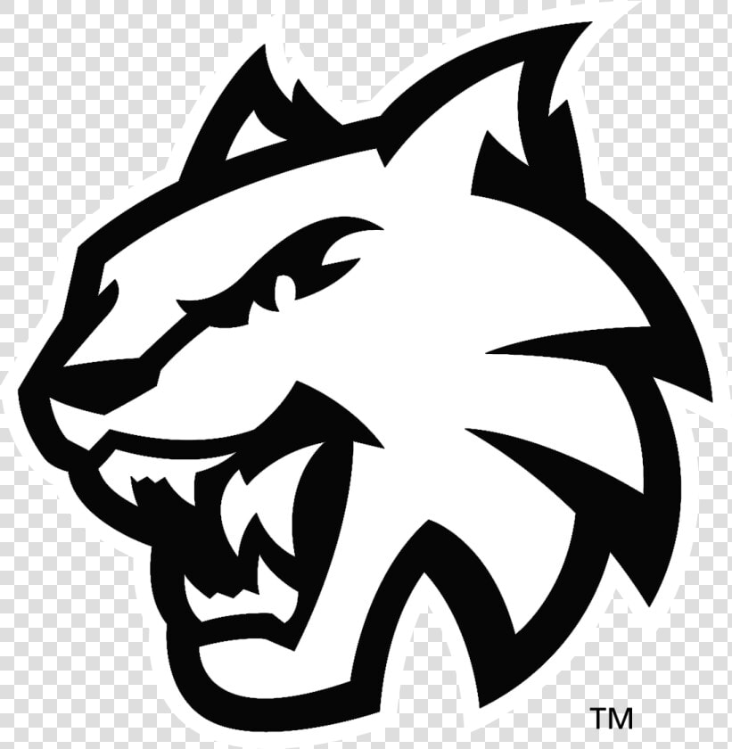 Wildcat Logo Png  Transparent PngTransparent PNG