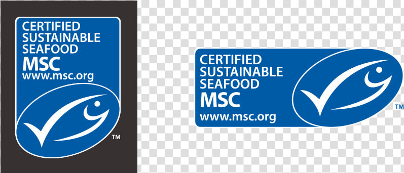 The Blue Msc Fish Tick Format Vertical And Horizontal   Marine Stewardship Council  HD Png DownloadTransparent PNG