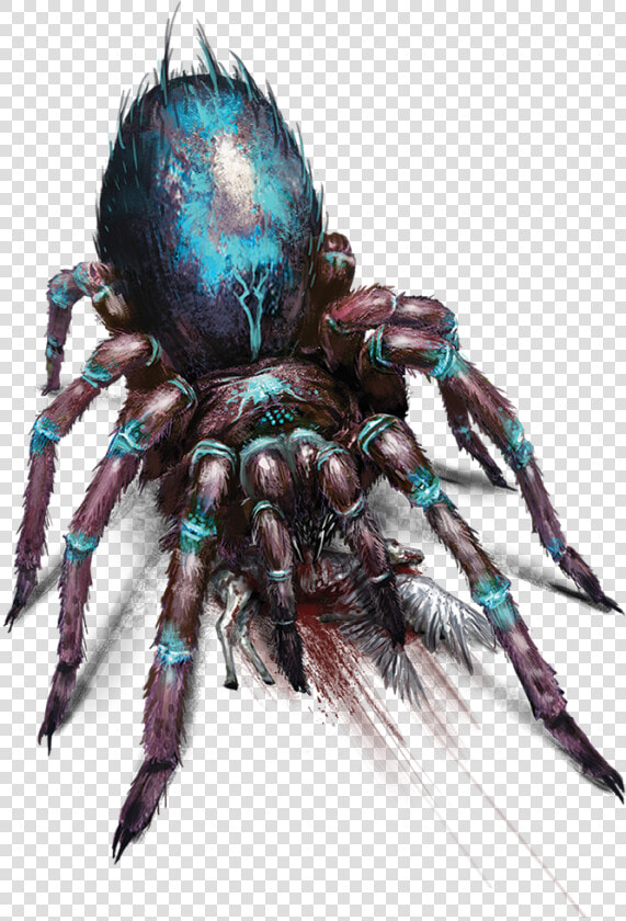 Araneus Cavaticus  HD Png DownloadTransparent PNG