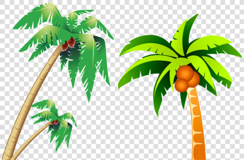 Tropical Coconut Tree Picture   Clip Art Coconut Tree  HD Png DownloadTransparent PNG