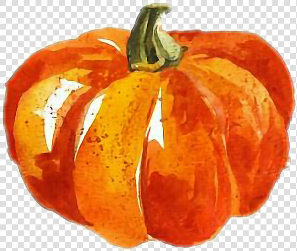  calabaza  acuarela   Happy Thanksgiving Pumpkin  HD Png DownloadTransparent PNG