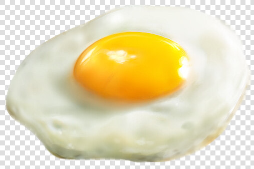 My Friend Asked Me To Draw A Fried Egg   Fried Egg  HD Png DownloadTransparent PNG