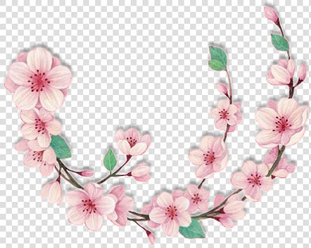  bloom  pink  frame  flower  border  flowers  white   Artificial Flower  HD Png DownloadTransparent PNG