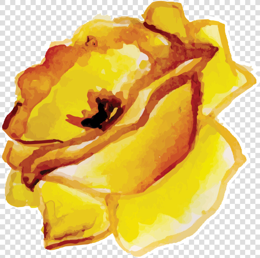 Floribunda  HD Png DownloadTransparent PNG