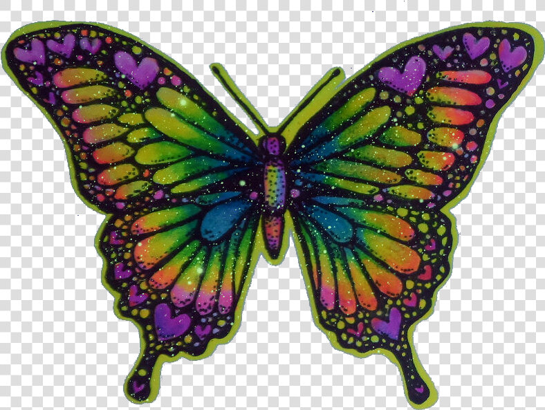  heart  butterfly  hippy  trippy  psychedelic  tumblr   Transparent Trippy Butterfly  HD Png DownloadTransparent PNG