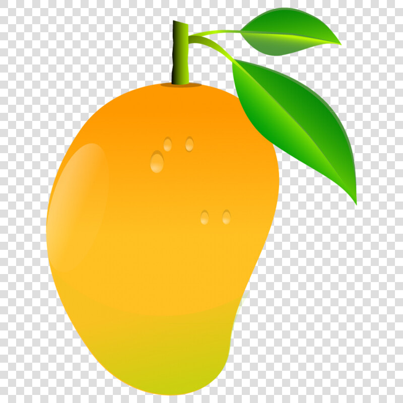 Mango Png Image   Mango Clipart  Transparent PngTransparent PNG