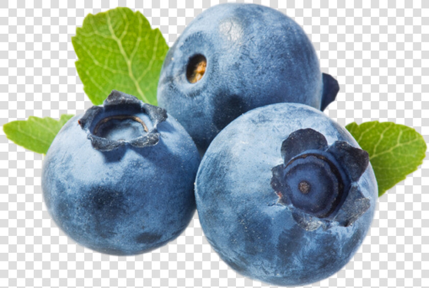 Blueberries Png   Do You Say Blueberry In Spanish  Transparent PngTransparent PNG