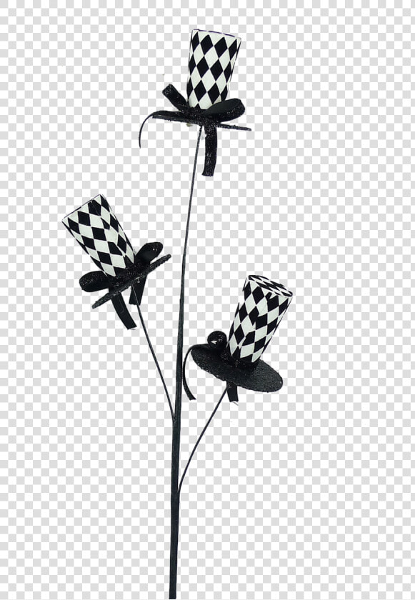 Black wht Harlequin Top Hat Spray   Lily  HD Png DownloadTransparent PNG