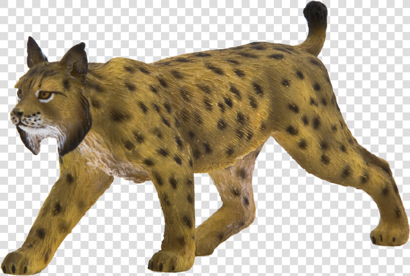 Animal Planet Iberian Lynx   Png Download   Iberian Lynx Png  Transparent PngTransparent PNG