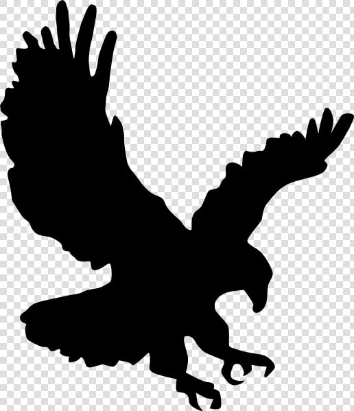 Flying Eagle Png Image   Silhouette Of Eagle Landing  Transparent PngTransparent PNG