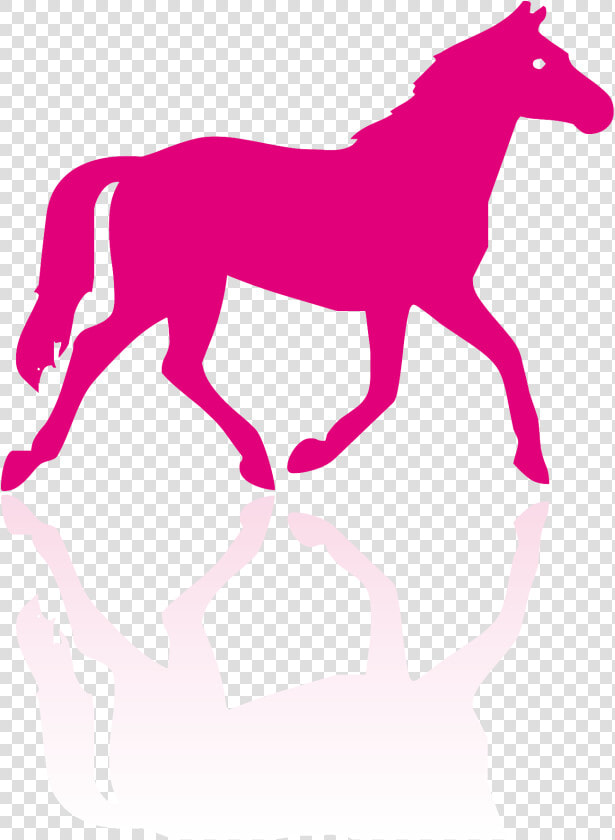 Horse Silhouette   Png Download   Anti Horse Racing  Transparent PngTransparent PNG