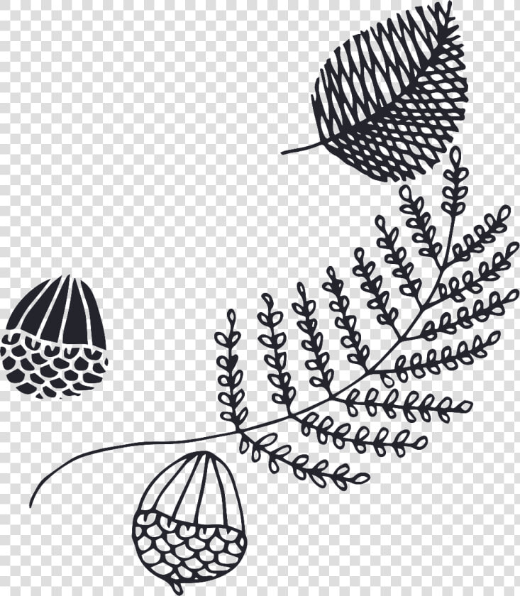 Various Types Of Leaves Cartoon Transparent   Drawing  HD Png DownloadTransparent PNG