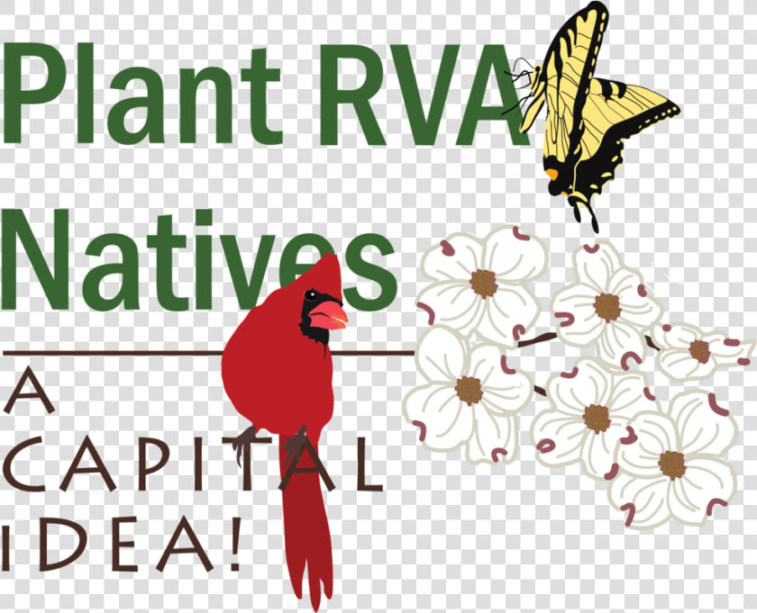 Plant Rva Natives A Capital Idea Logo   Illustration  HD Png DownloadTransparent PNG