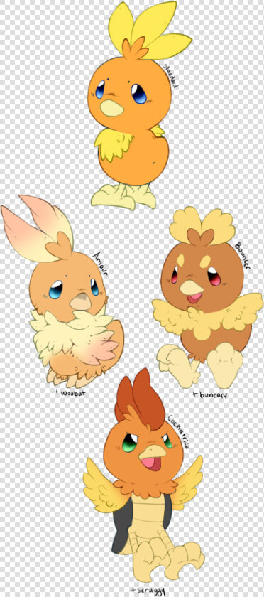 Remember Those Torchic Variants From A While Ago I  HD Png DownloadTransparent PNG