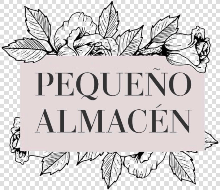 Pequeño Almacén De Cojines   Rebelle Beauty  HD Png DownloadTransparent PNG