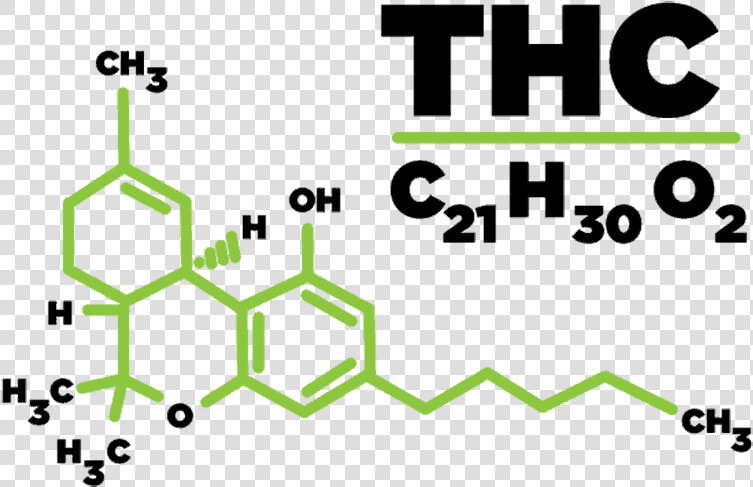 Molecule For Thc  HD Png DownloadTransparent PNG