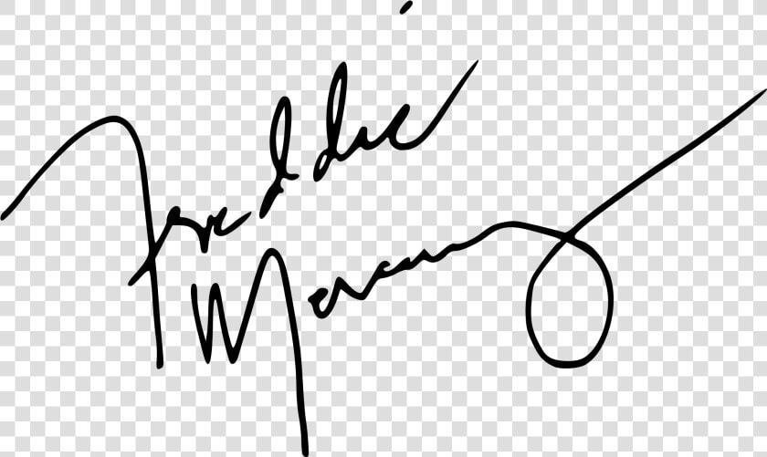 Freddie Mercury Png   Freddie Mercury Signature Png  Transparent PngTransparent PNG