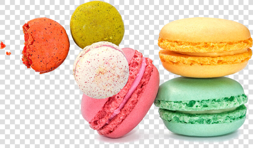 Macaron  HD Png DownloadTransparent PNG