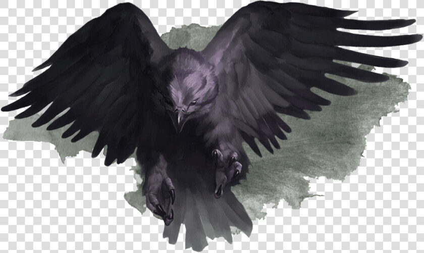 Bird Of Prey  HD Png DownloadTransparent PNG