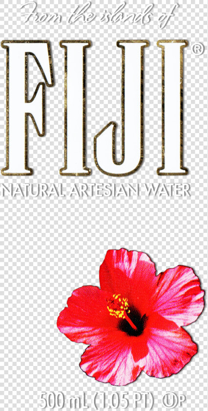 Hibiscus Flower Png Image Collections   Fiji Water Bottle Flower  Transparent PngTransparent PNG