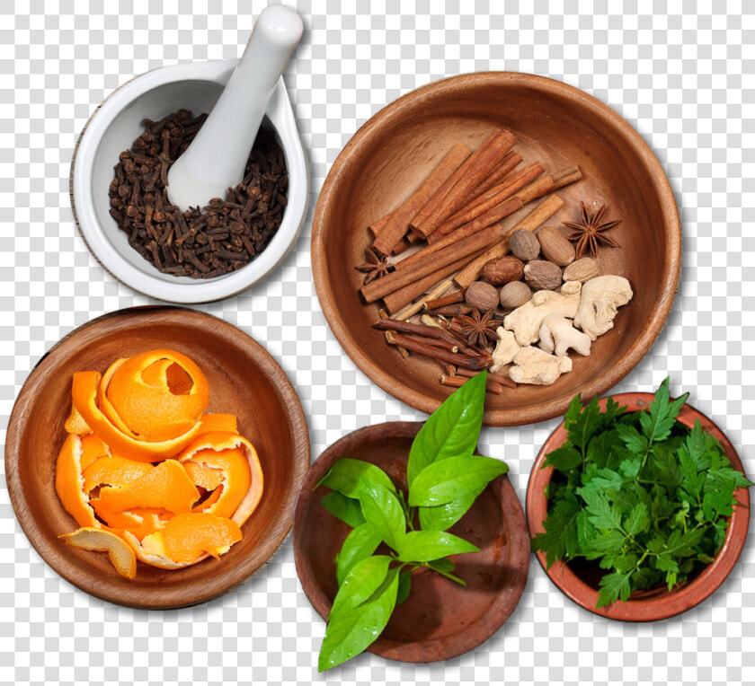 Ayurveda Png Clipart   Ayurvedic Medicine Png  Transparent PngTransparent PNG