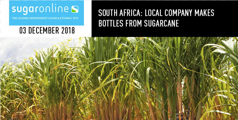 Sugarcane Company  HD Png DownloadTransparent PNG