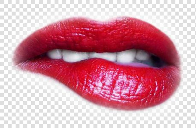 Lips Png Transparent Images   Everytime I See You I Want To Rip Your Clothes Off  Png DownloadTransparent PNG