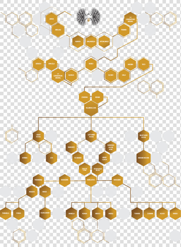 Nelson Mandela Family Tree   Png Download   Thembu Family Tree  Transparent PngTransparent PNG