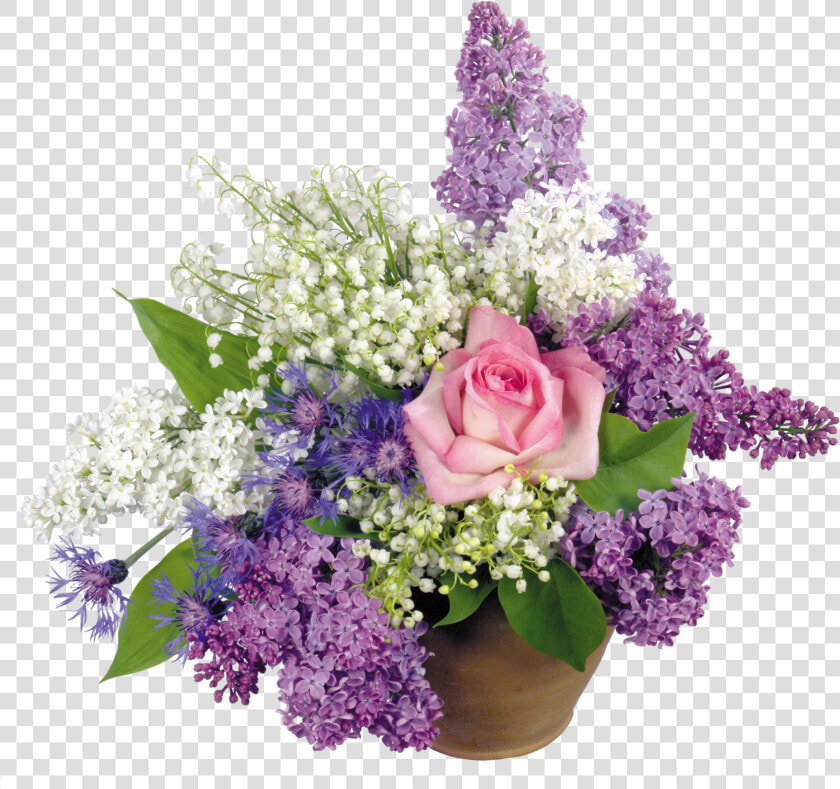 Lilac Png   Love Photo Frames For Photoshop  Transparent PngTransparent PNG