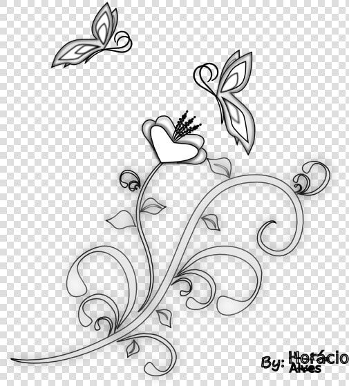 Borboletas Black White Line Art 555px   Line Art  HD Png DownloadTransparent PNG