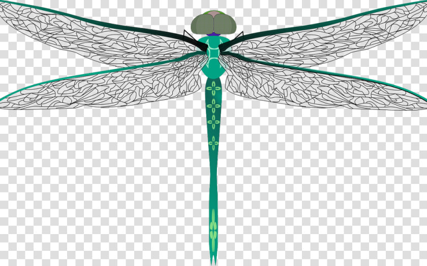 Clip Art Symbolism And Meaning Off   Big Dragonfly Clipart  HD Png DownloadTransparent PNG