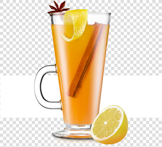 Hot Toddy   Fizz  HD Png DownloadTransparent PNG