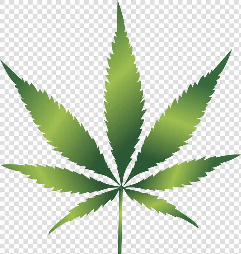 Cannabis Leaf Clip Art   Clipart Cannabis Leaf  HD Png DownloadTransparent PNG