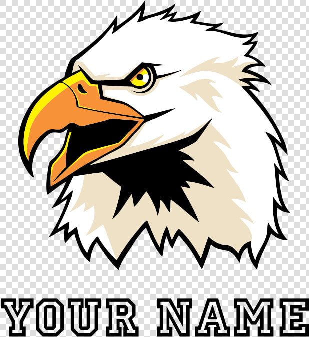 Bald Eagle Head Baby Blanket Clipart   Png Download   Status For Ending Semester  Transparent PngTransparent PNG