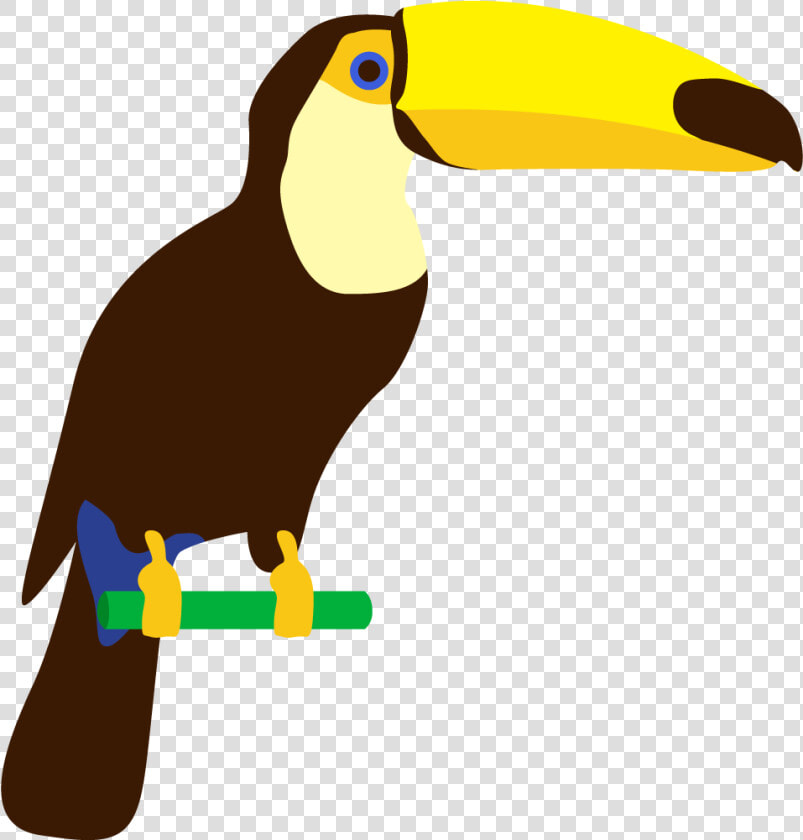 Parrot Toucan Art Cartoon Banner   Desenho Papagaio Png  Transparent PngTransparent PNG