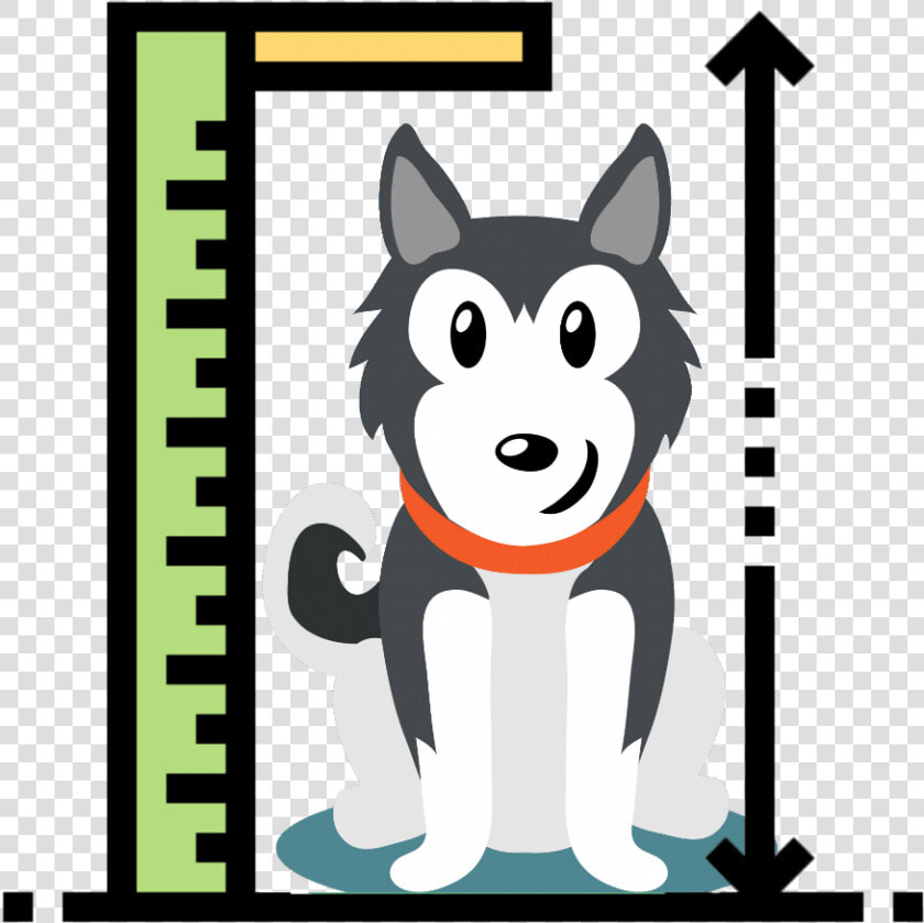 Siberian Husky Size   Icone Altura  HD Png DownloadTransparent PNG