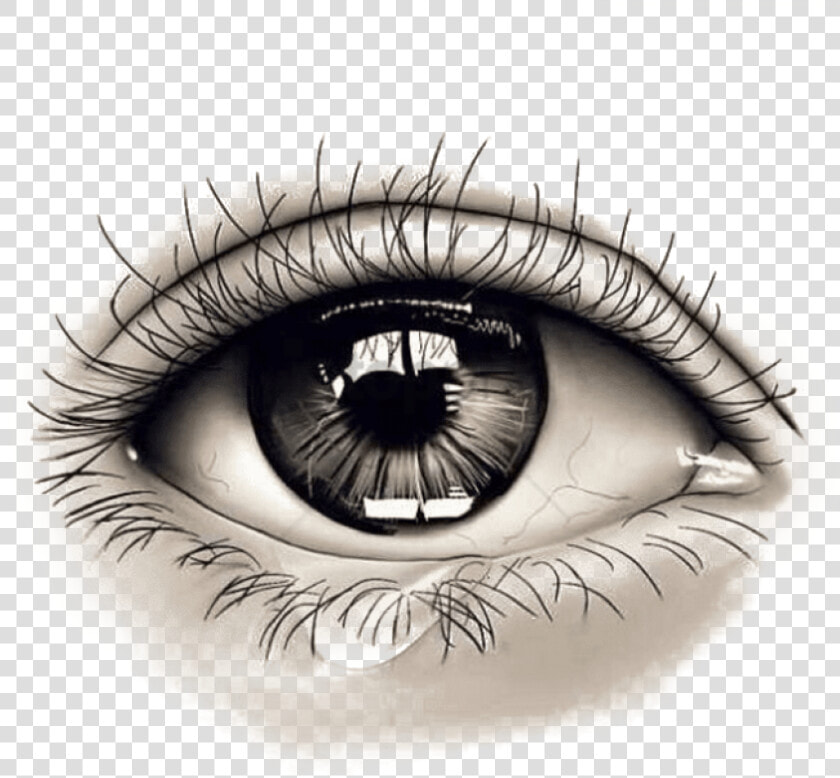 Transparent Png Eye   Realistic Design Eye Tattoo  Png DownloadTransparent PNG