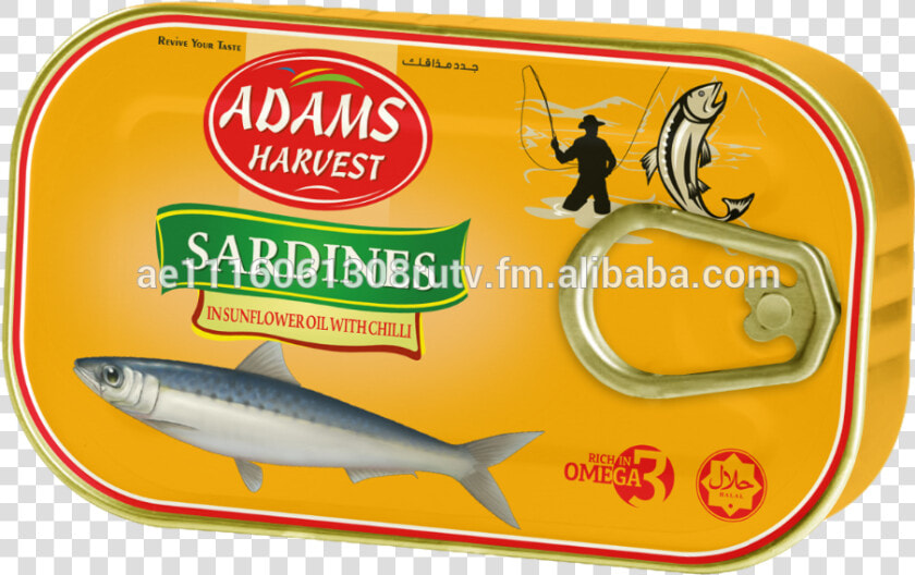 Transparent Sardines Png   Great White Shark  Png DownloadTransparent PNG