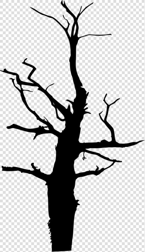 Twig Silhouette Black And White Clip Art   Silhouette  HD Png DownloadTransparent PNG