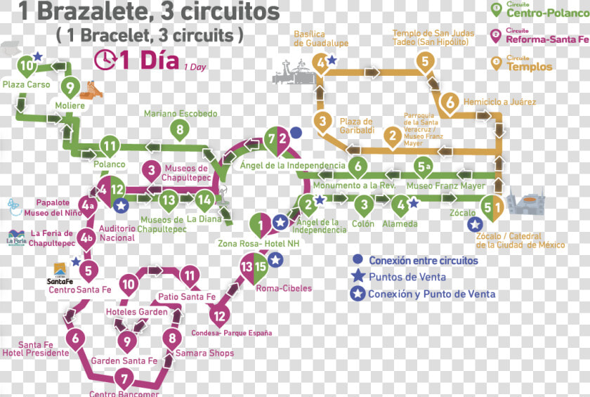 Capital Bus Mexico City Map  HD Png DownloadTransparent PNG